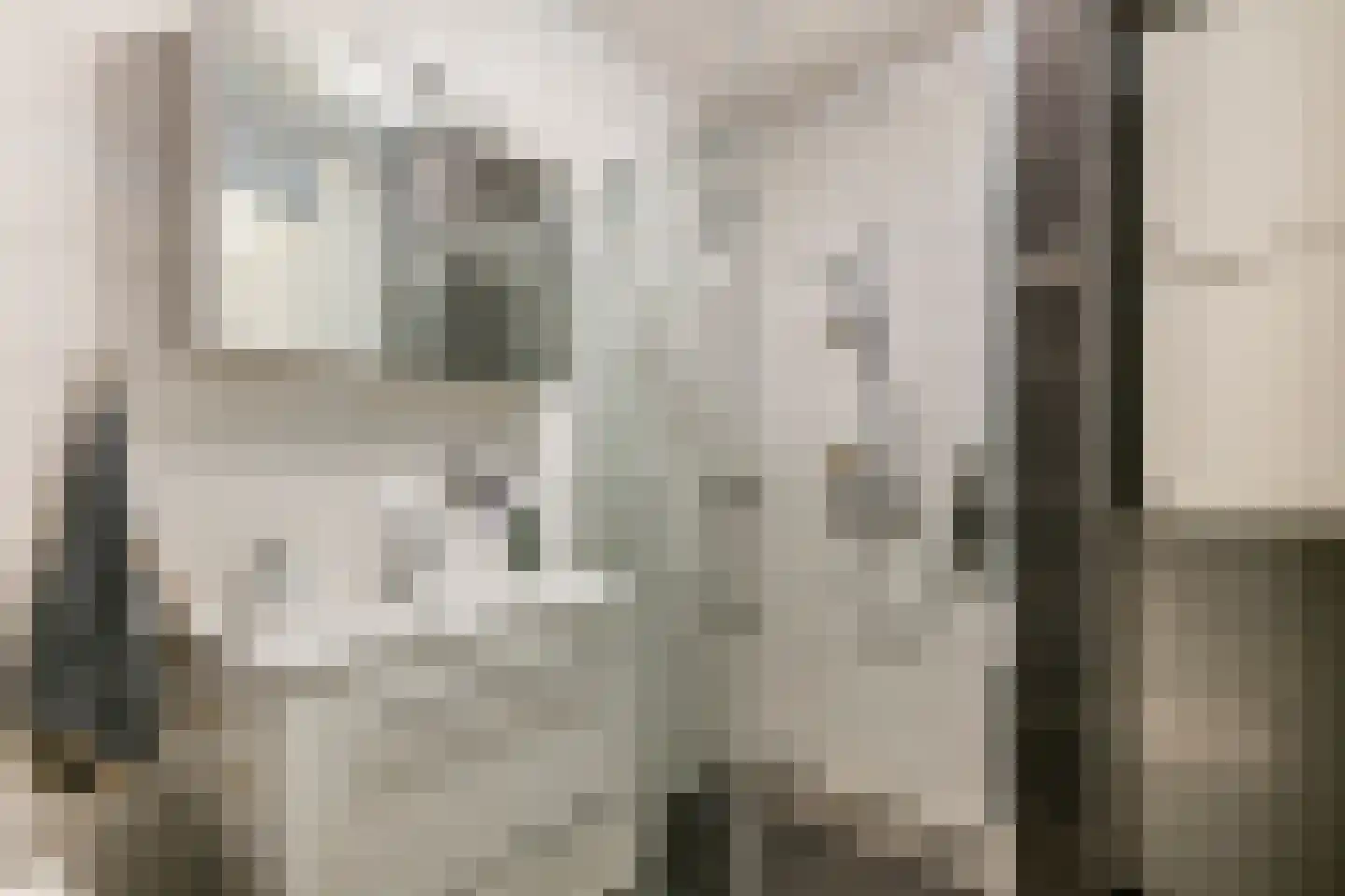 Grote Vuurvlinder 14 Tiel thumbnail 22