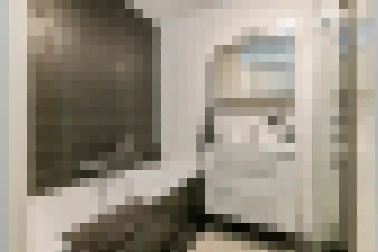 Grote Vuurvlinder 14 Tiel thumbnail 23