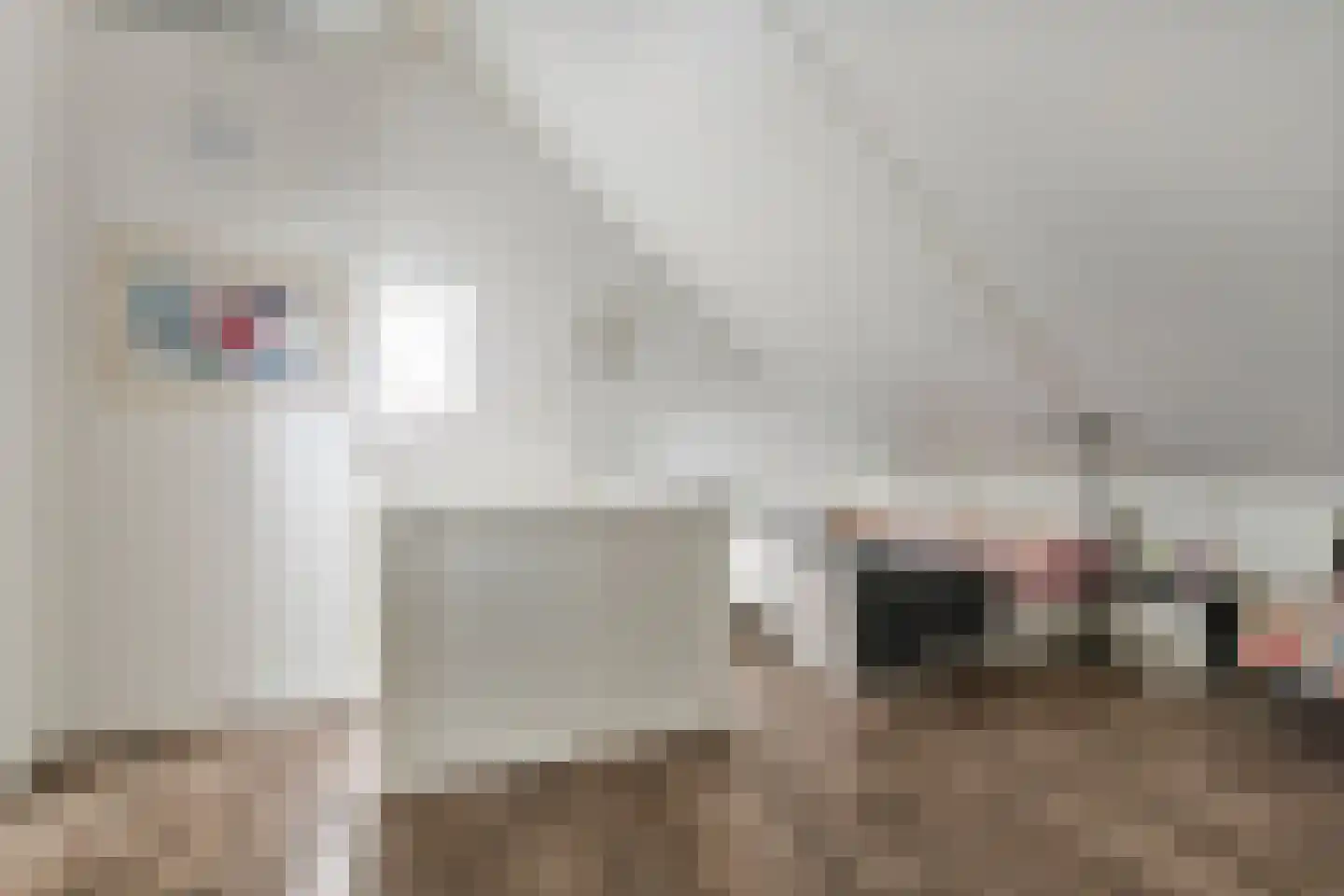 Grote Vuurvlinder 14 Tiel thumbnail 25