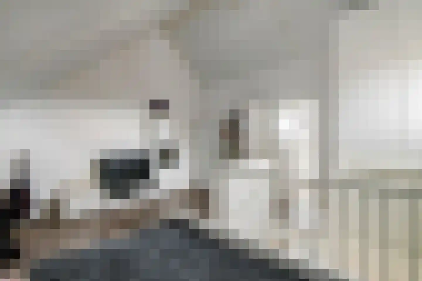 Grote Vuurvlinder 14 Tiel thumbnail 27