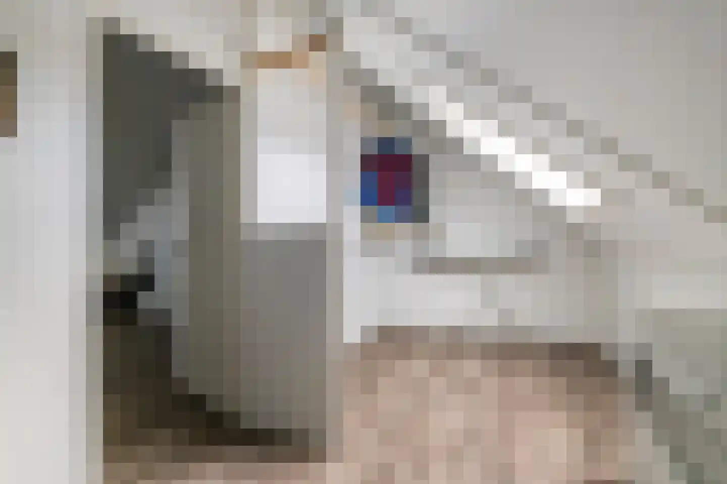 Grote Vuurvlinder 14 Tiel thumbnail 28