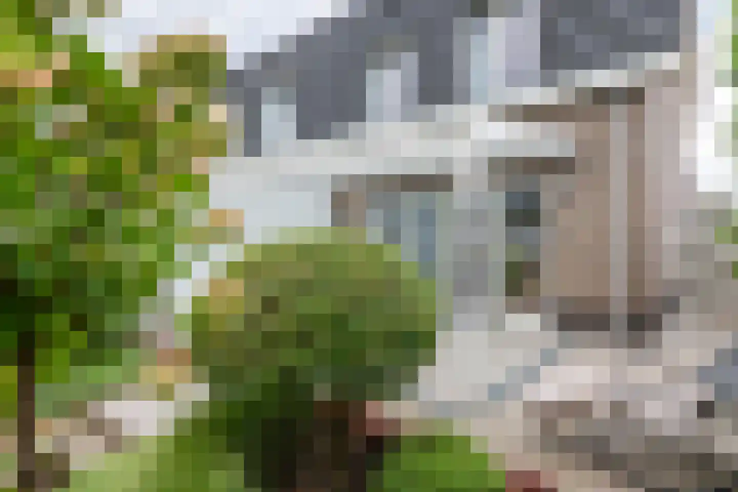 Grote Vuurvlinder 14 Tiel thumbnail 32