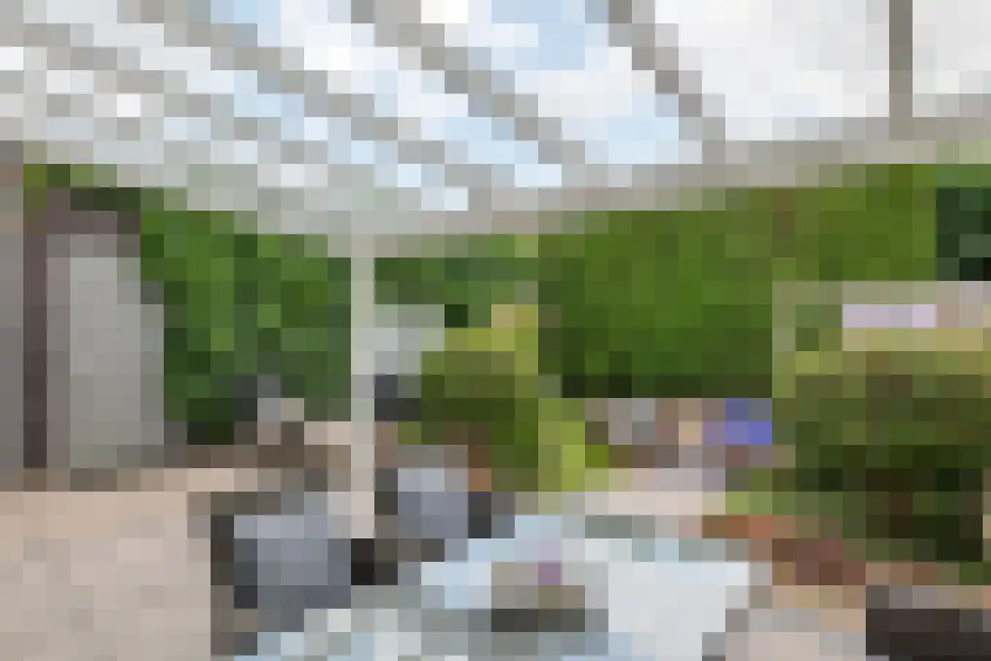 Grote Vuurvlinder 14 Tiel thumbnail 33