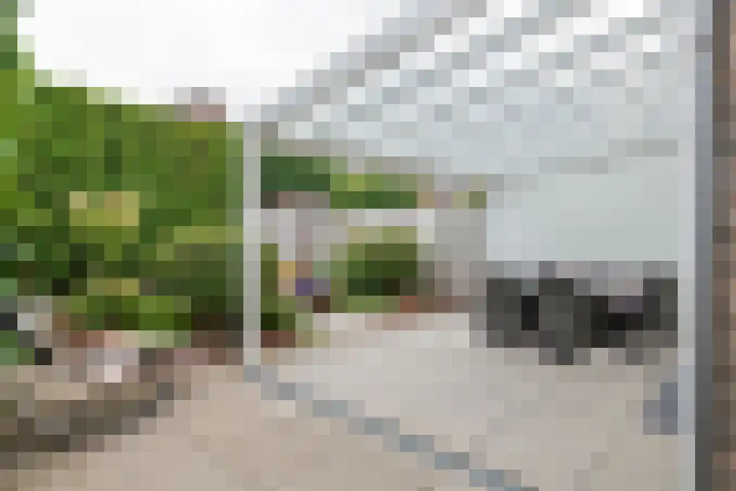 Grote Vuurvlinder 14 Tiel thumbnail 34