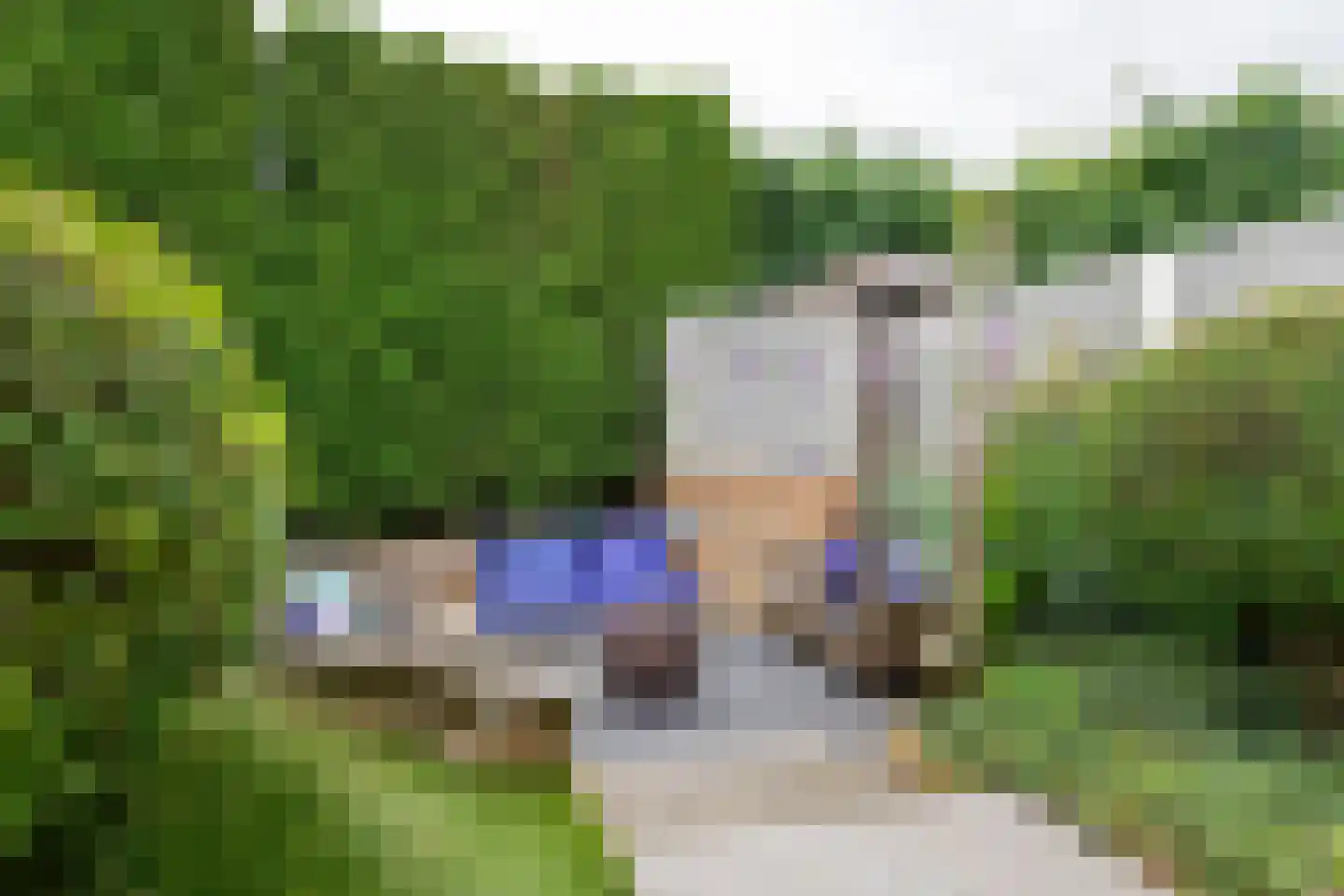 Grote Vuurvlinder 14 Tiel thumbnail 35