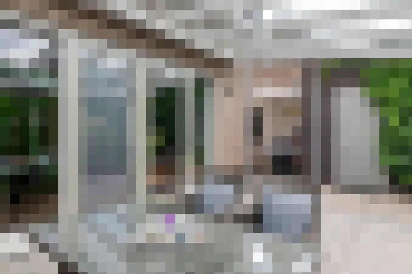 Grote Vuurvlinder 14 Tiel thumbnail 37