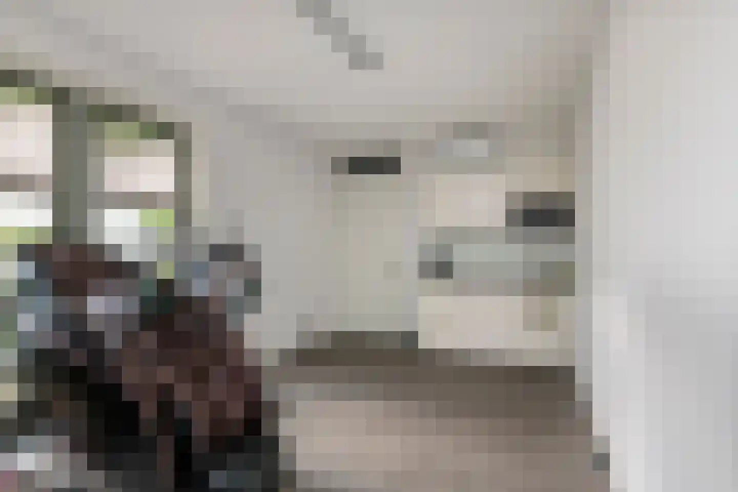 Grote Vuurvlinder 14 Tiel thumbnail 39