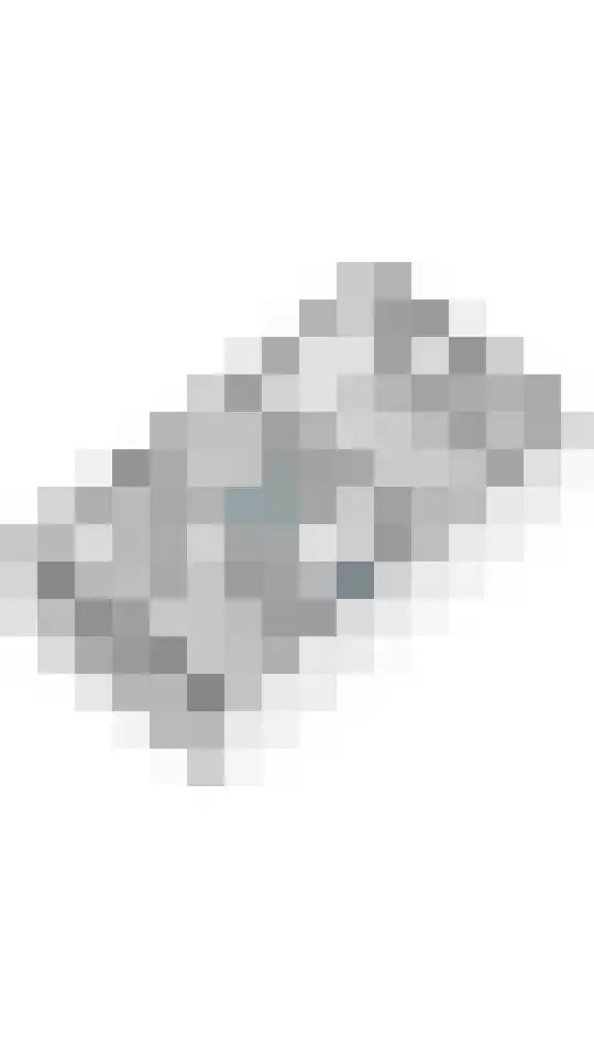 Grote Vuurvlinder 14 Tiel thumbnail 46