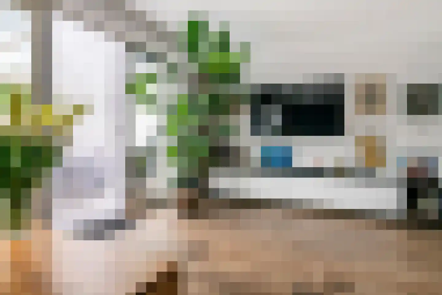 Grote Vuurvlinder 14 Tiel thumbnail 6