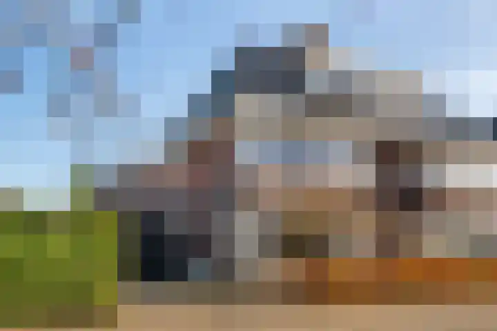 Grote Vuurvlinder 25 Tiel
