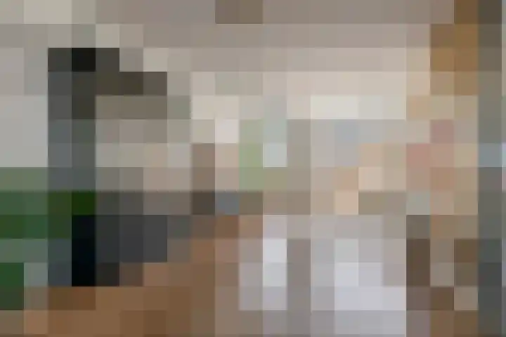 Grote Vuurvlinder 25 Tiel thumbnail 11