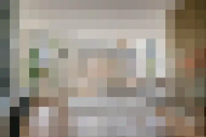 Grote Vuurvlinder 25 Tiel thumbnail 12