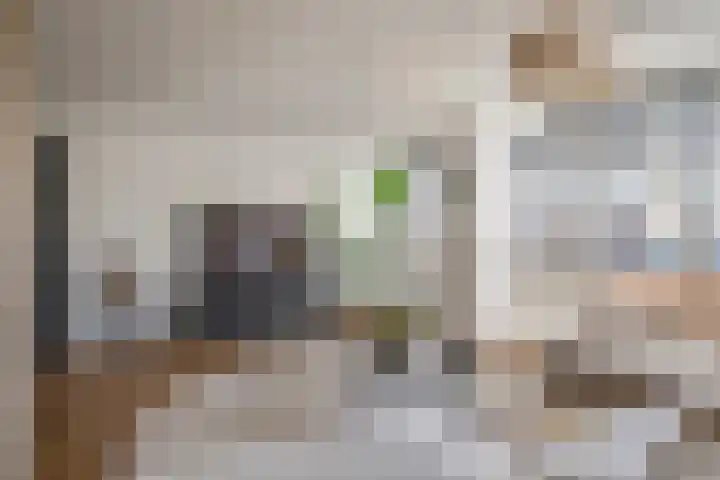 Grote Vuurvlinder 25 Tiel thumbnail 13