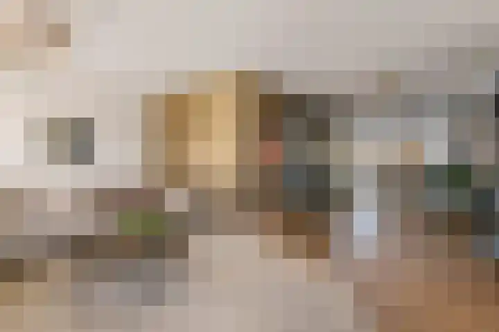 Grote Vuurvlinder 25 Tiel thumbnail 15