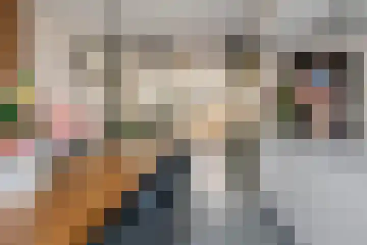 Grote Vuurvlinder 25 Tiel thumbnail 18