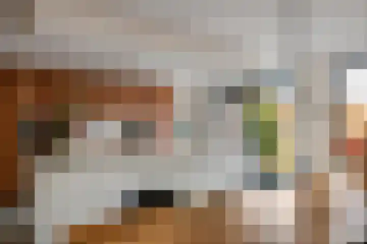 Grote Vuurvlinder 25 Tiel thumbnail 19