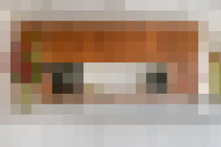 Grote Vuurvlinder 25 Tiel thumbnail 21