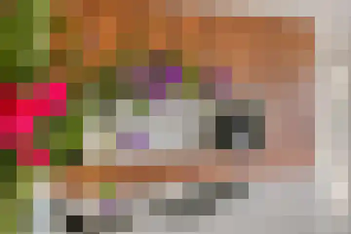 Grote Vuurvlinder 25 Tiel thumbnail 22
