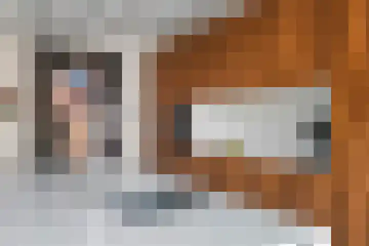 Grote Vuurvlinder 25 Tiel thumbnail 23