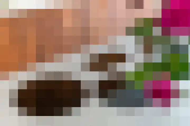Grote Vuurvlinder 25 Tiel thumbnail 24