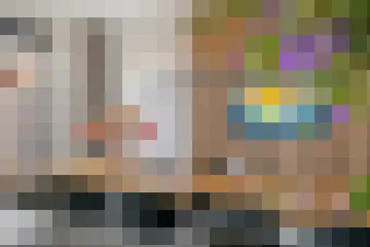 Grote Vuurvlinder 25 Tiel thumbnail 27