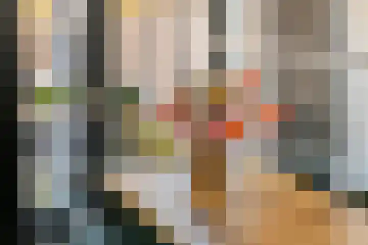 Grote Vuurvlinder 25 Tiel thumbnail 28