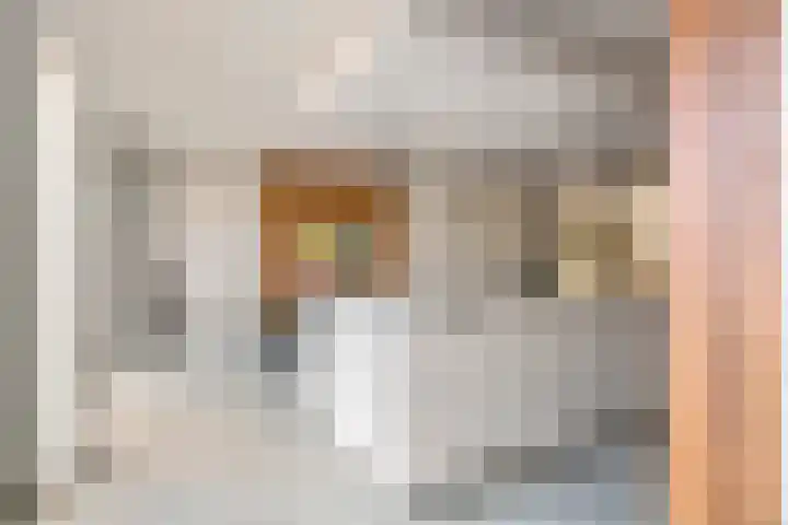 Grote Vuurvlinder 25 Tiel thumbnail 29