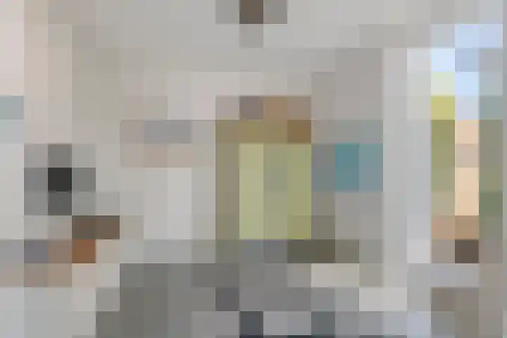 Grote Vuurvlinder 25 Tiel thumbnail 31