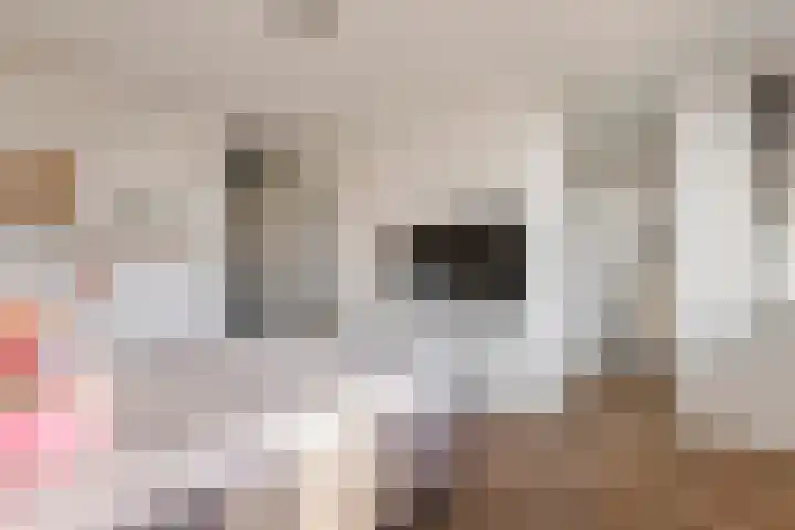 Grote Vuurvlinder 25 Tiel thumbnail 35