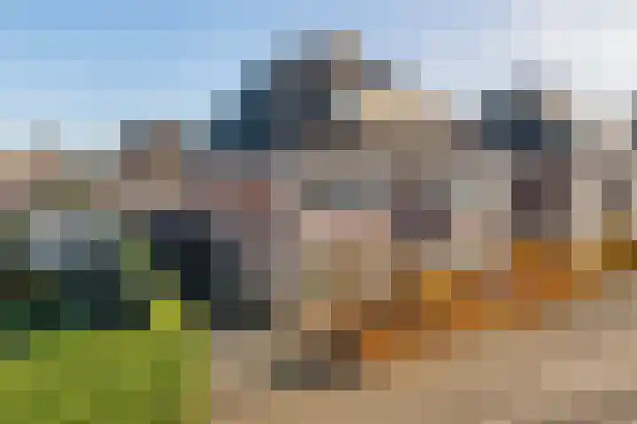 Grote Vuurvlinder 25 Tiel thumbnail 4