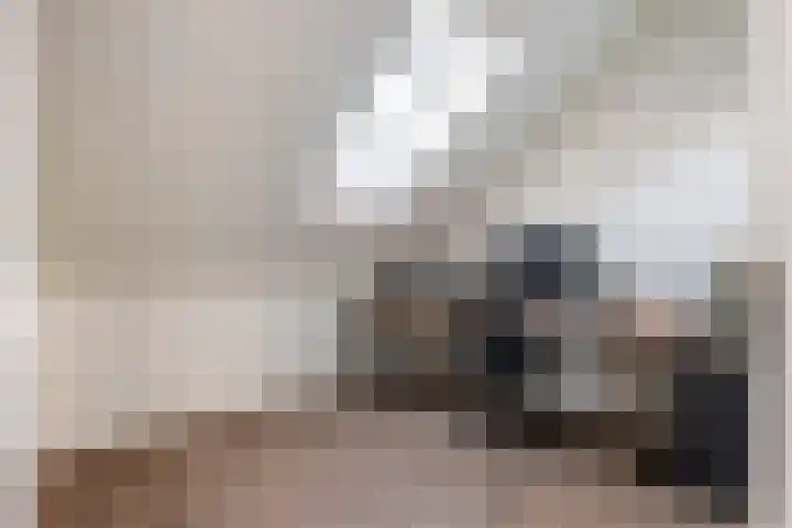 Grote Vuurvlinder 25 Tiel thumbnail 46