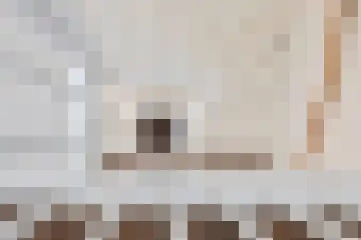 Grote Vuurvlinder 25 Tiel thumbnail 48