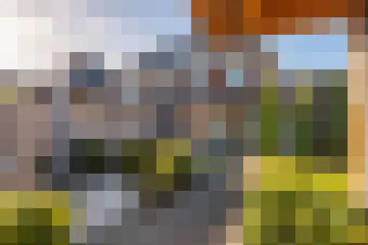Grote Vuurvlinder 25 Tiel thumbnail 49