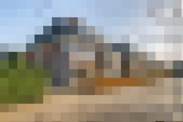 Grote Vuurvlinder 25 Tiel thumbnail 5