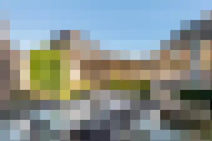 Grote Vuurvlinder 25 Tiel thumbnail 50