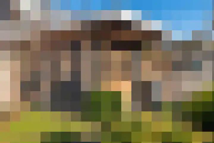Grote Vuurvlinder 25 Tiel thumbnail 51