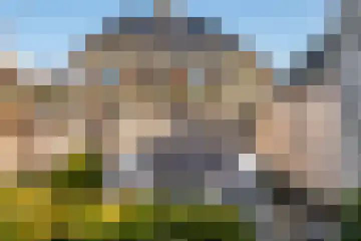 Grote Vuurvlinder 25 Tiel thumbnail 54