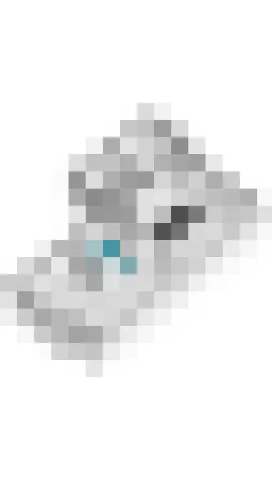 Grote Vuurvlinder 25 Tiel thumbnail 56
