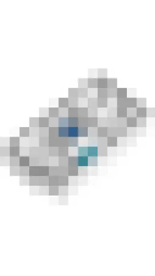 Grote Vuurvlinder 25 Tiel thumbnail 58