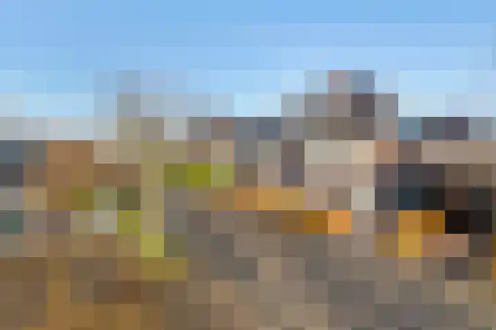 Grote Vuurvlinder 25 Tiel thumbnail 6