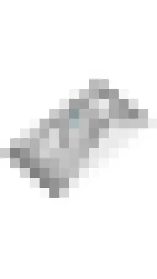 Grote Vuurvlinder 25 Tiel thumbnail 60