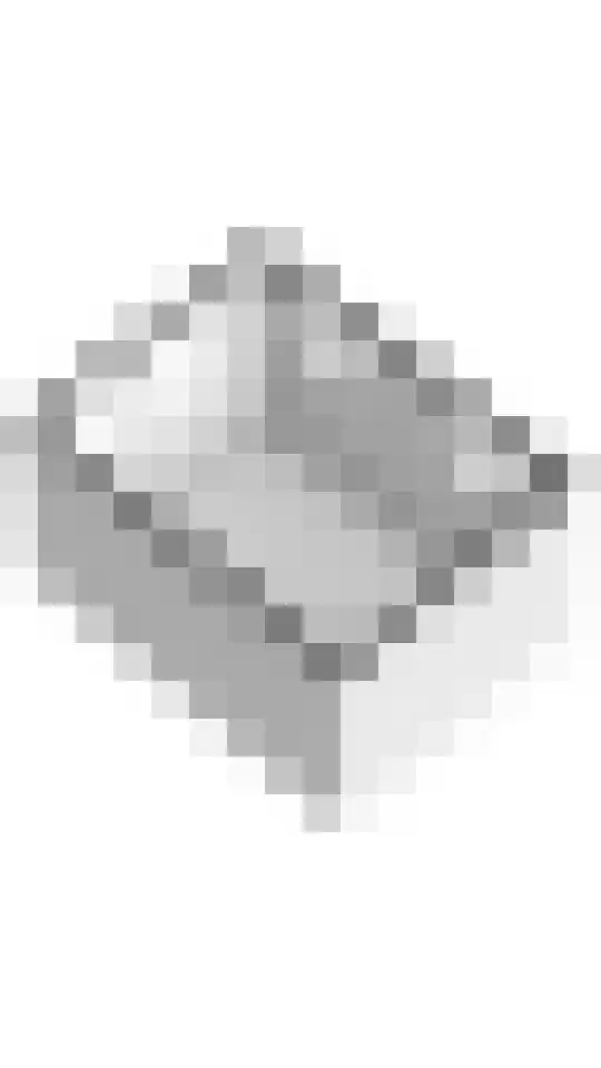 Grote Vuurvlinder 25 Tiel thumbnail 62