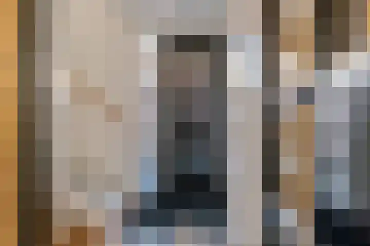Grote Vuurvlinder 25 Tiel thumbnail 8
