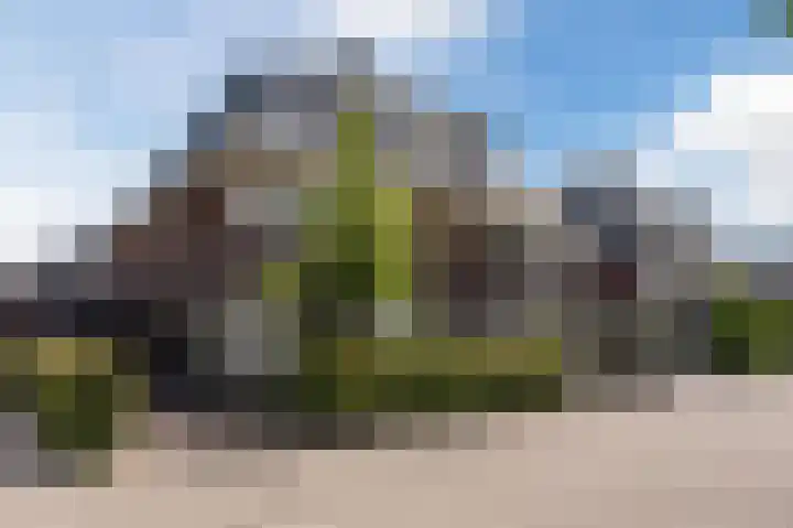 Grote Vuurvlinder 29 Tiel thumbnail 10