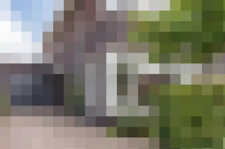 Grote Vuurvlinder 29 Tiel thumbnail 11