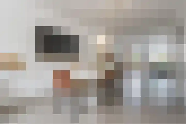 Grote Vuurvlinder 29 Tiel thumbnail 14