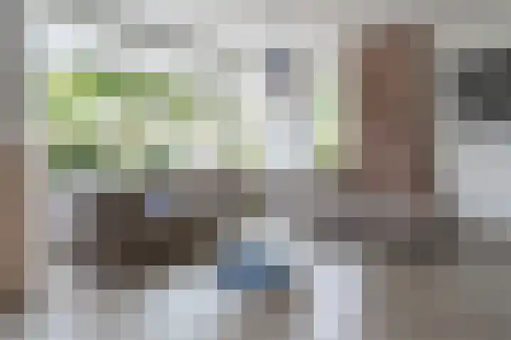 Grote Vuurvlinder 29 Tiel thumbnail 15