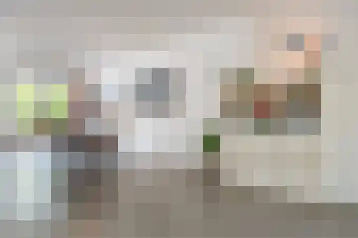 Grote Vuurvlinder 29 Tiel thumbnail 16