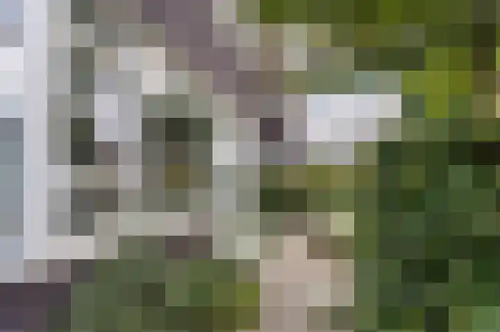 Grote Vuurvlinder 29 Tiel thumbnail 17