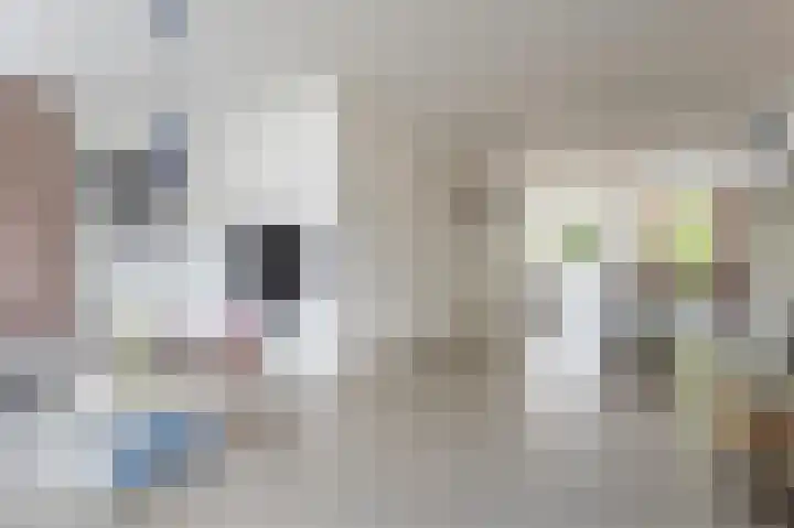 Grote Vuurvlinder 29 Tiel thumbnail 19